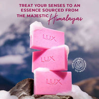https://cdn.shopify.com/s/files/1/1857/6931/files/jmyr2oGX9s.jpg?v=1747894654