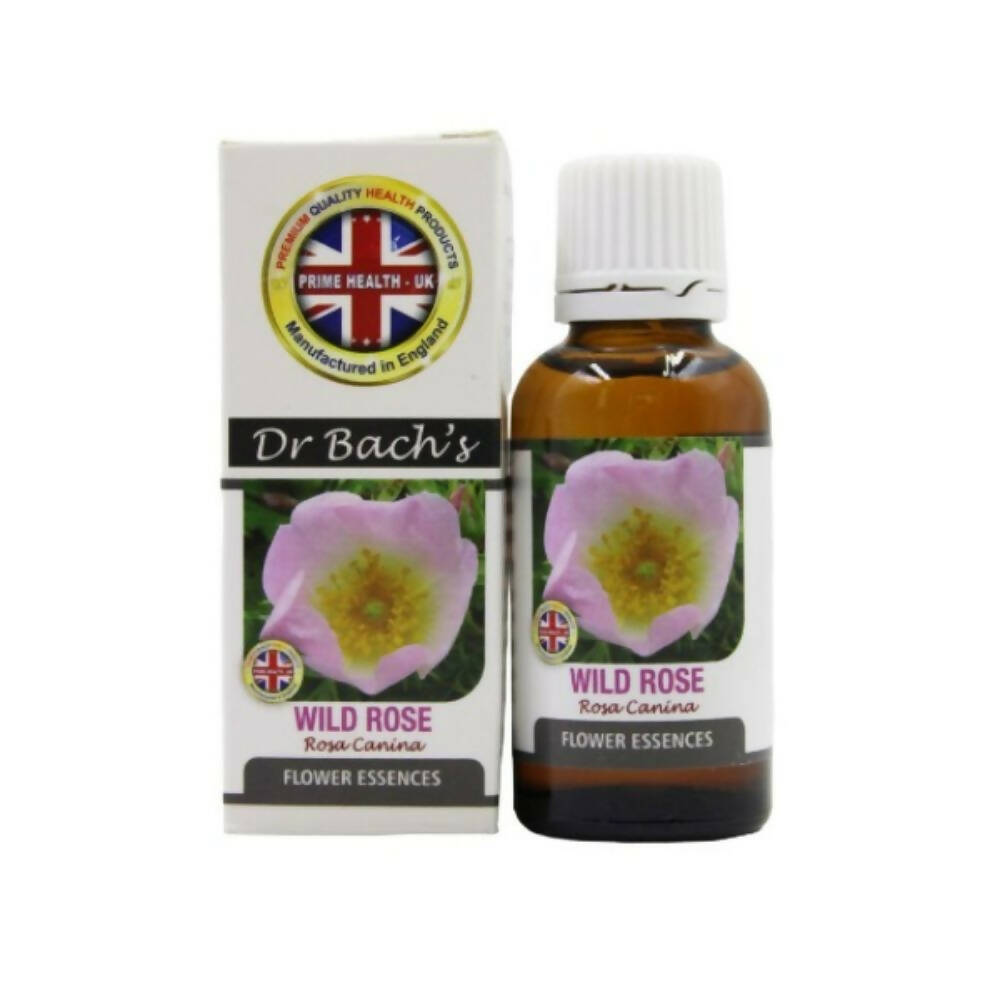 https://cdn.shopify.com/s/files/1/1857/6931/products/jnn5vmNzC1.jpg?v=1759373948