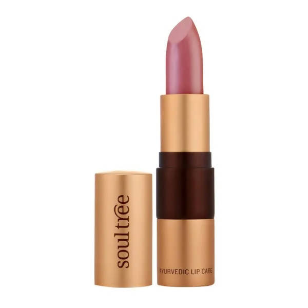 https://cdn.shopify.com/s/files/1/1857/6931/products/joBcVBFqYG.jpg?v=1629545348