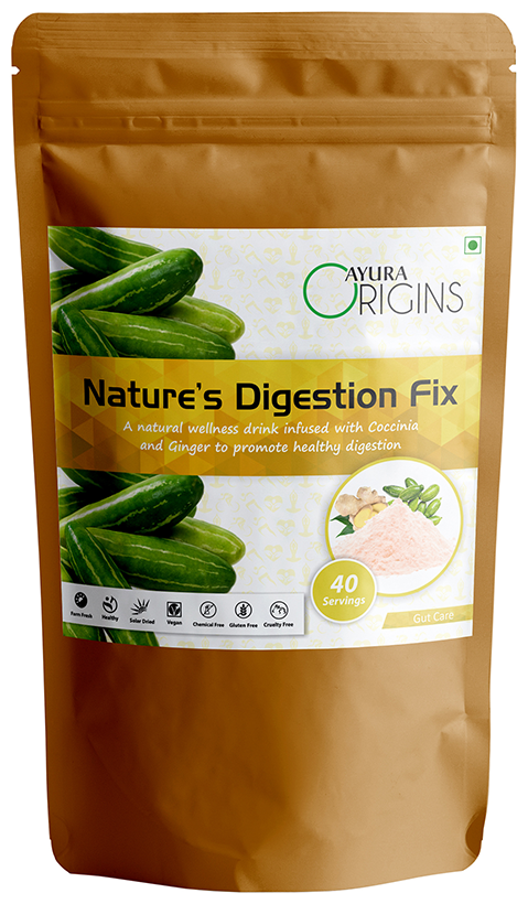Image 1 of 200 gm for the product Ayura Origins Nature's Digestion Fix Powder