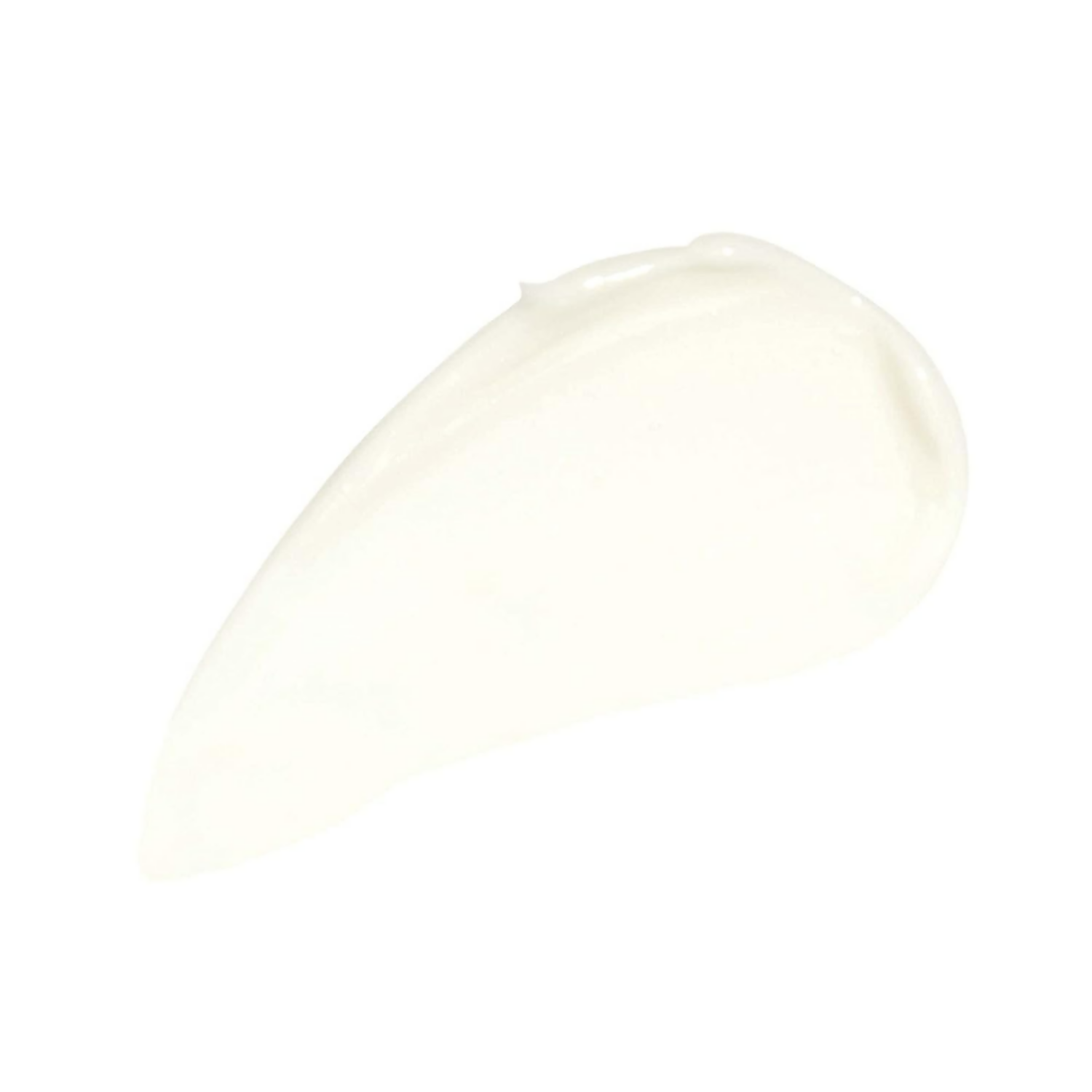 https://cdn.shopify.com/s/files/1/1857/6931/files/jrMTUB5crL.png?v=1736398436