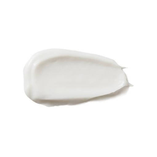 https://cdn.shopify.com/s/files/1/1857/6931/products/jsV3y16HzI.jpg?v=1624726523
