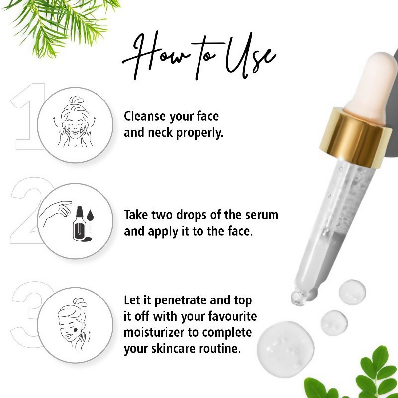 https://cdn.shopify.com/s/files/1/1857/6931/files/jtgBZKOxQN.png?v=1722497368