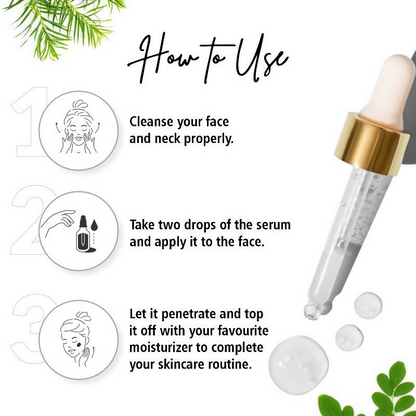 https://cdn.shopify.com/s/files/1/1857/6931/files/jtgBZKOxQN.png?v=1722497368