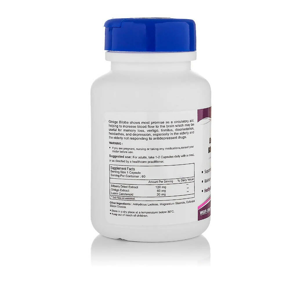 https://cdn.shopify.com/s/files/1/1857/6931/products/jtq3VSiQQr.jpg?v=1669983836