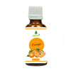 https://cdn.shopify.com/s/files/1/1857/6931/products/ju8Gsnzfsz.jpg?v=1762399806