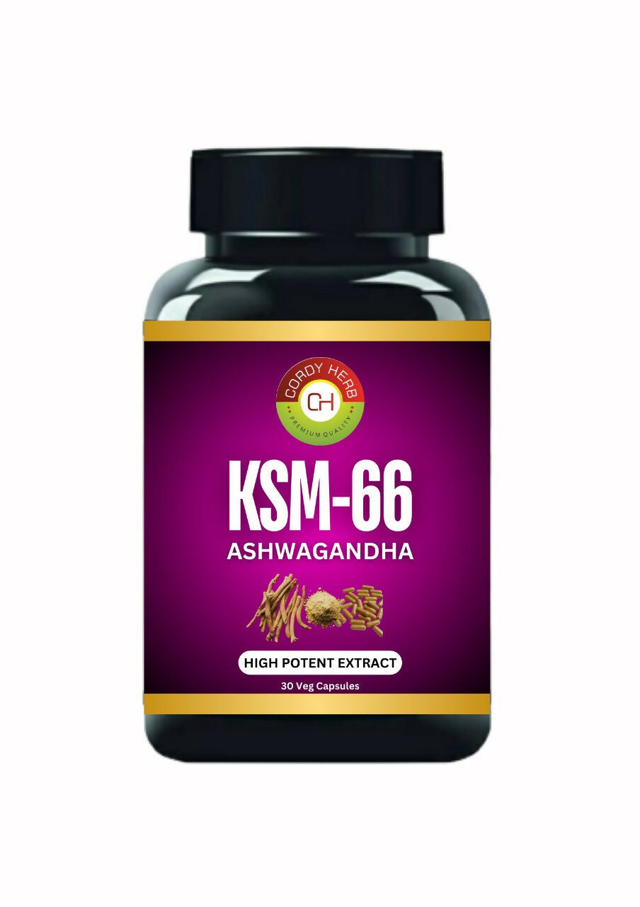 https://cdn.shopify.com/s/files/1/1857/6931/files/juKb14dtWu.jpg?v=1723277808