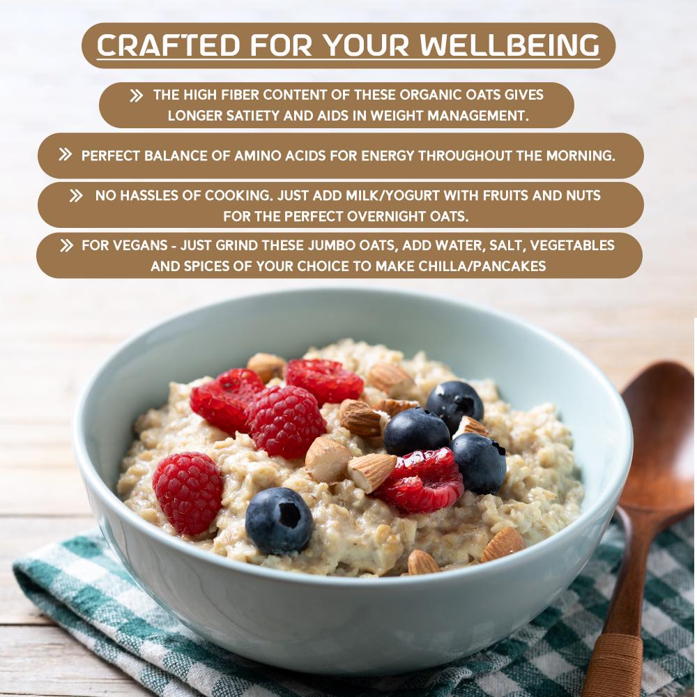 https://cdn.shopify.com/s/files/1/1857/6931/files/jumbo_oats_3_copy.jpg?v=1769500150