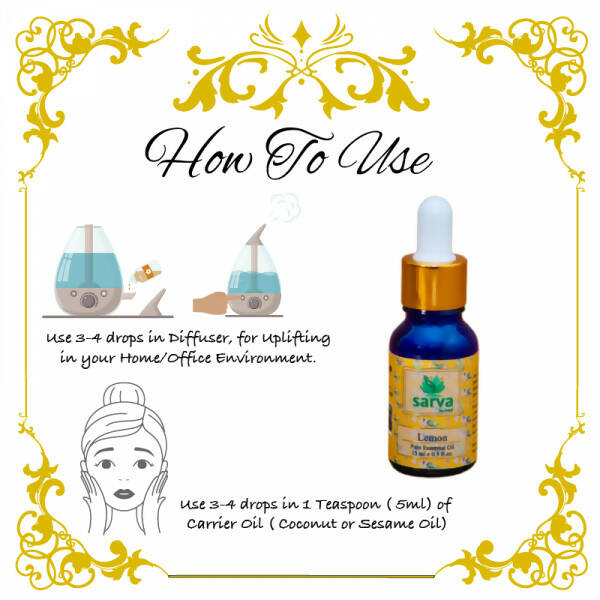 https://cdn.shopify.com/s/files/1/1857/6931/products/jvJiEt8RlC.jpg?v=1670651695