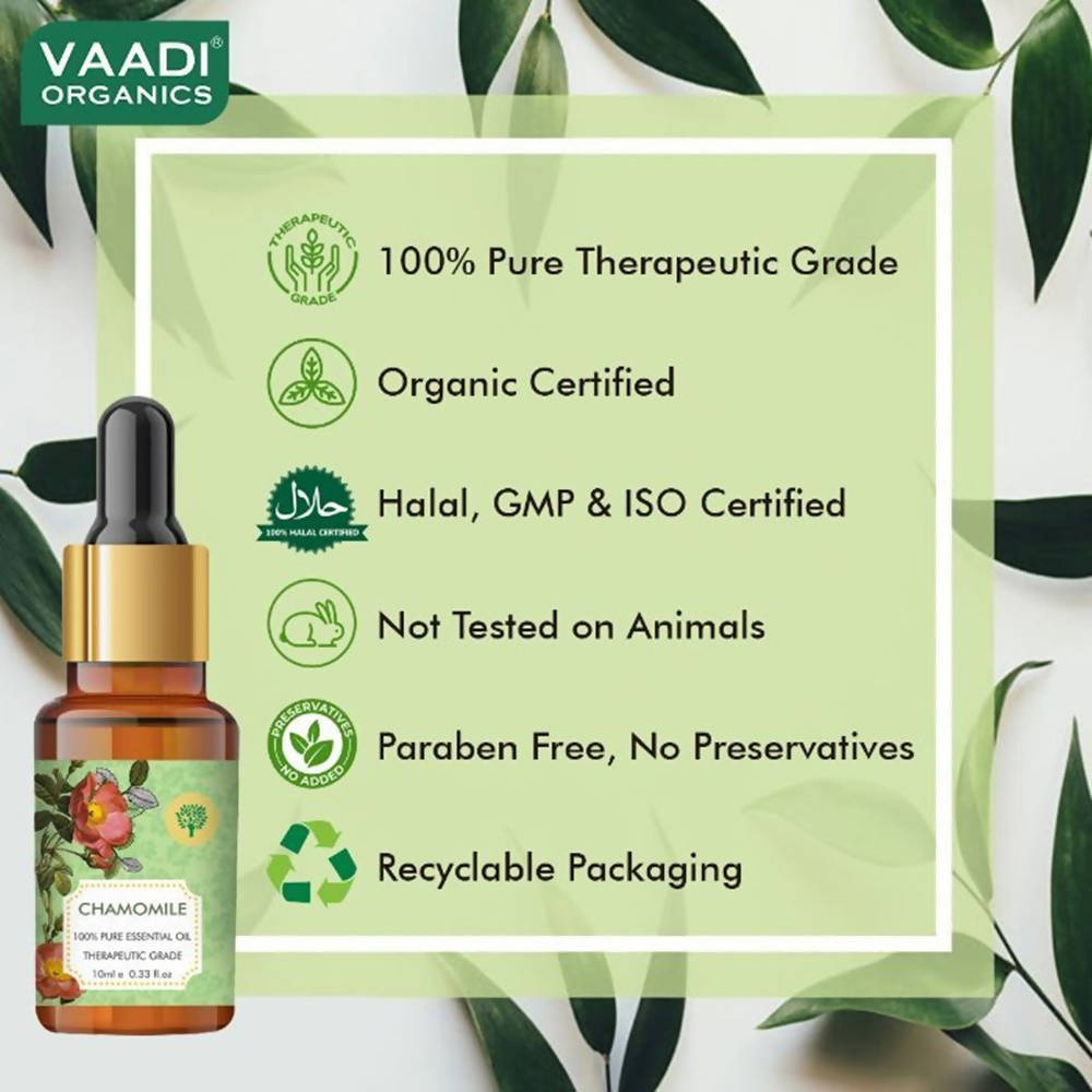 https://cdn.shopify.com/s/files/1/1857/6931/products/jwFJ0w7MdY.jpg?v=1618540045