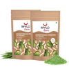https://cdn.shopify.com/s/files/1/1857/6931/files/jzUnSQ440P.png?v=1737975789