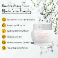 https://cdn.shopify.com/s/files/1/1857/6931/products/jzXXs0MCFw.jpg?v=1666768013