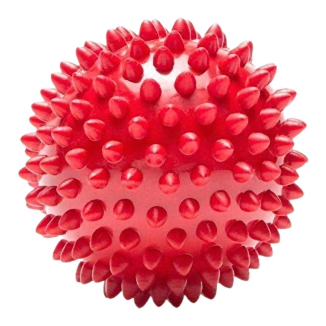 https://cdn.shopify.com/s/files/1/1857/6931/products/jzZkiwLxIe.jpg?v=1762425494