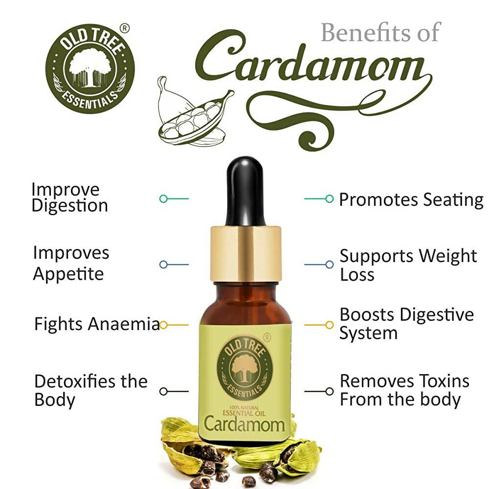 https://cdn.shopify.com/s/files/1/1857/6931/products/k2mSlGtQ9l.jpg?v=1683366068
