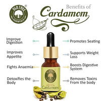 https://cdn.shopify.com/s/files/1/1857/6931/products/k2mSlGtQ9l.jpg?v=1683366068