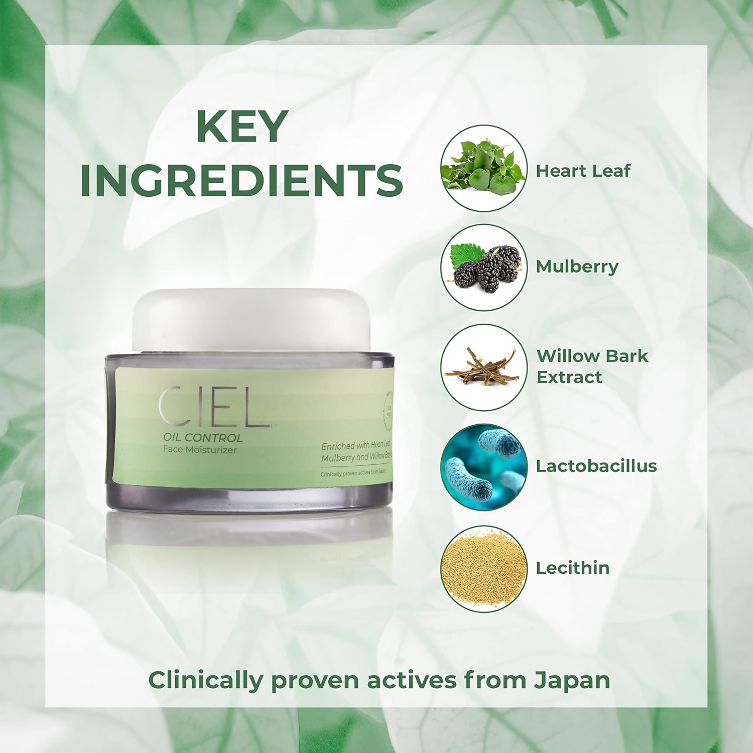 https://cdn.shopify.com/s/files/1/1857/6931/files/k3fR91zxjc.png?v=1729082484