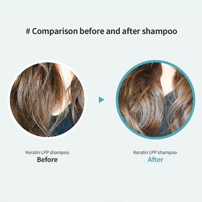 https://cdn.shopify.com/s/files/1/1857/6931/files/k5VKnSvVX5.jpg?v=1731569194