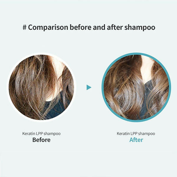 https://cdn.shopify.com/s/files/1/1857/6931/files/k5VKnSvVX5.jpg?v=1731569194