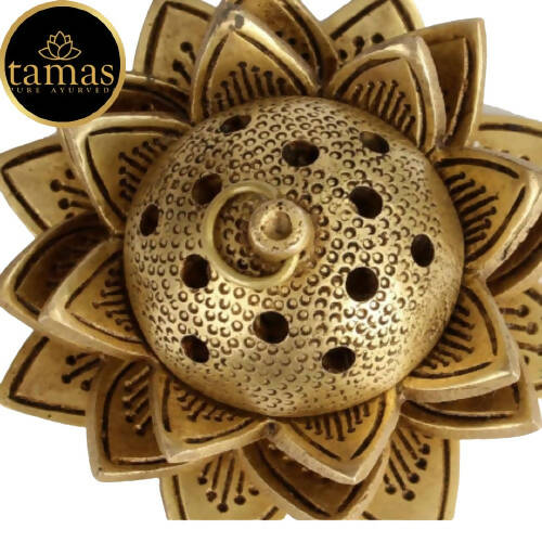 https://cdn.shopify.com/s/files/1/1857/6931/products/k9cm8WObwV.jpg?v=1681543615