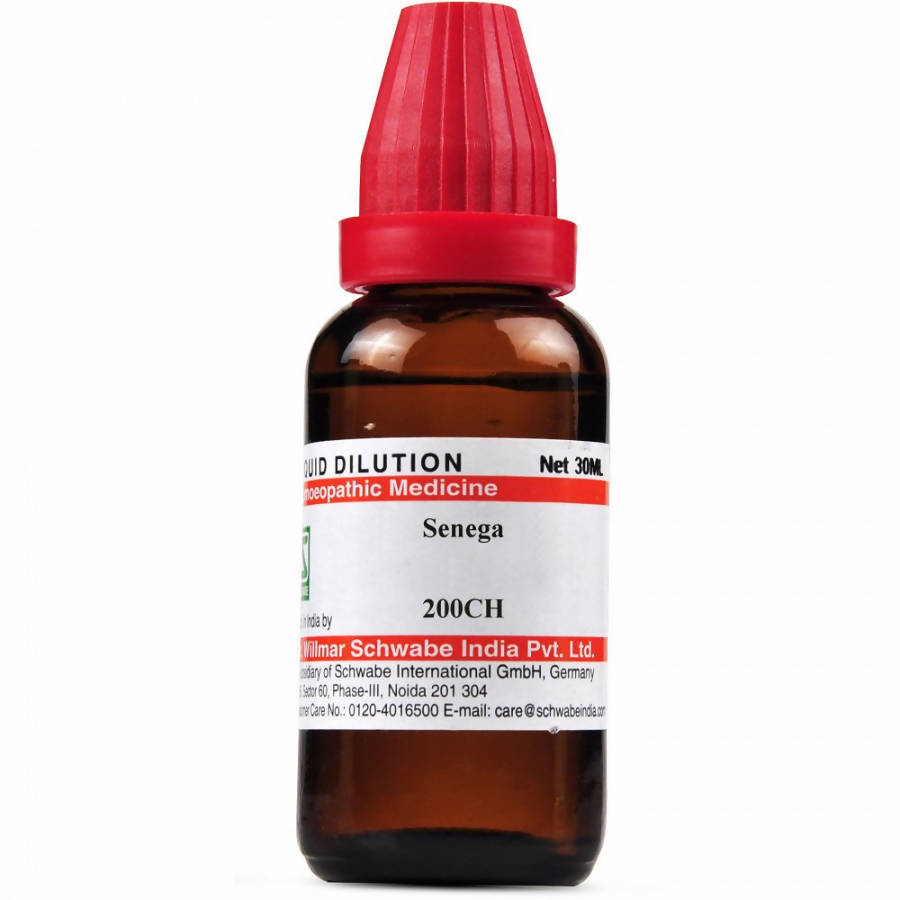 https://cdn.shopify.com/s/files/1/1857/6931/products/k9wqbZvGcC.jpg?v=1640865840