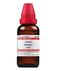 https://cdn.shopify.com/s/files/1/1857/6931/products/kA1jsTbmwD.jpg?v=1640865676
