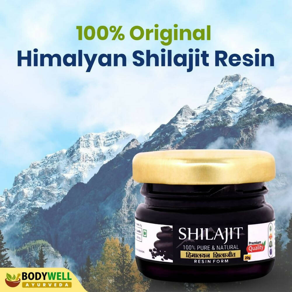 https://cdn.shopify.com/s/files/1/1857/6931/products/kA3FrGsnEw.jpg?v=1694424797