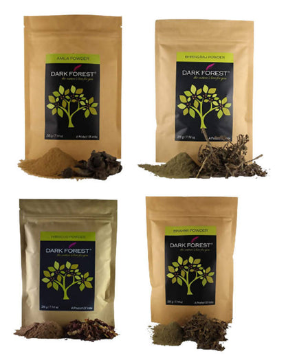Image 2 of Dark Forest Anti-Hairfall Therapy