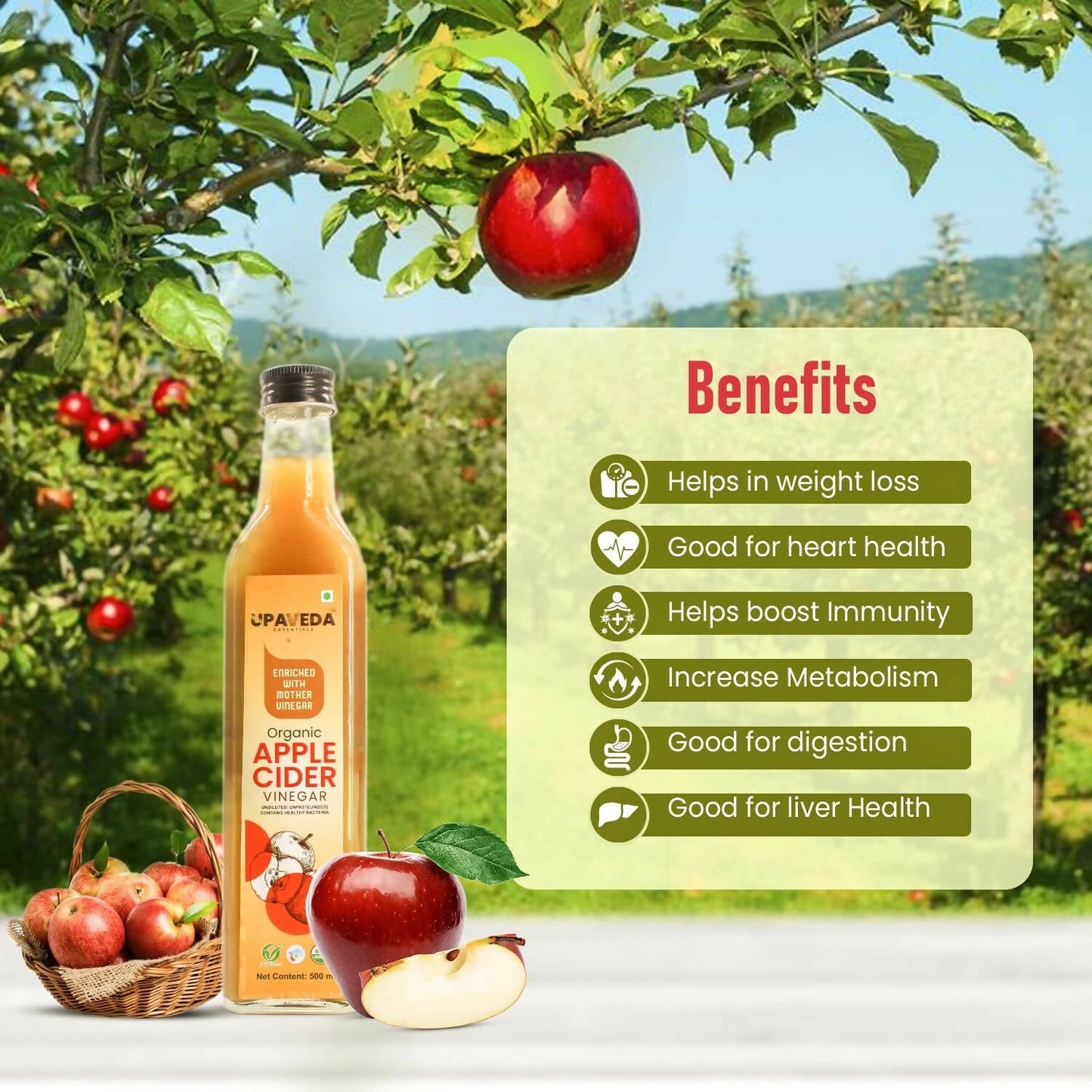 https://cdn.shopify.com/s/files/1/1857/6931/products/kEzpRqRFXw.jpg?v=1706013743