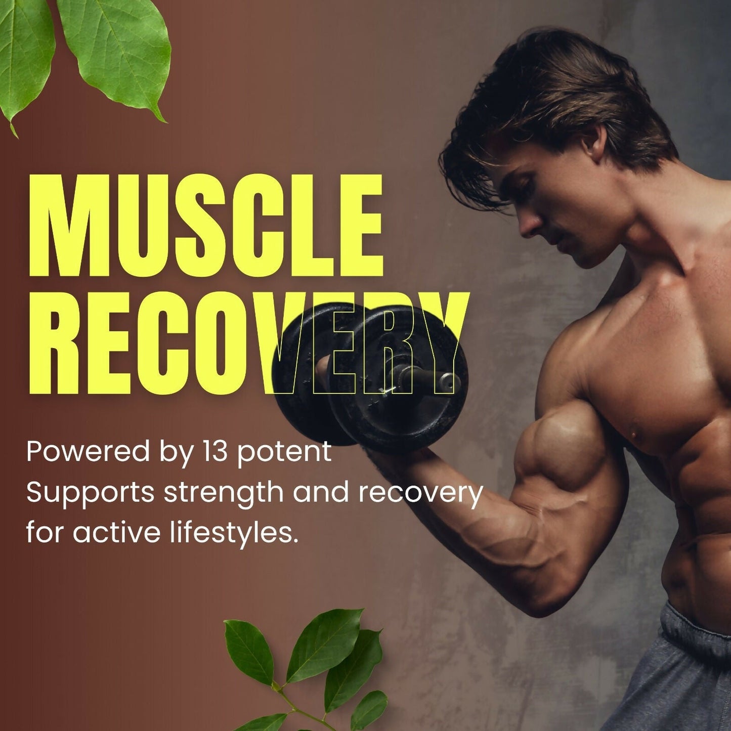https://cdn.shopify.com/s/files/1/1857/6931/files/kGvVH6gJDE.jpg?v=1740033470