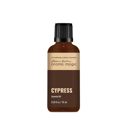 https://cdn.shopify.com/s/files/1/1857/6931/products/kJrBq6T1KK.jpg?v=1762372225