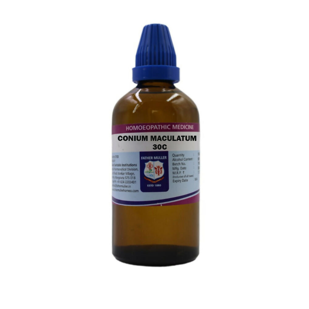 https://cdn.shopify.com/s/files/1/1857/6931/files/kO8BxYadOL.jpg?v=1719043005
