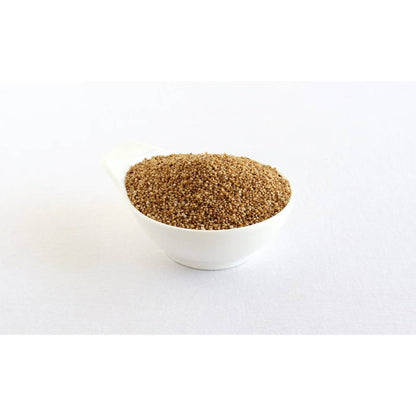 https://cdn.shopify.com/s/files/1/1857/6931/products/kOliXC27Ns.jpg?v=1627008069