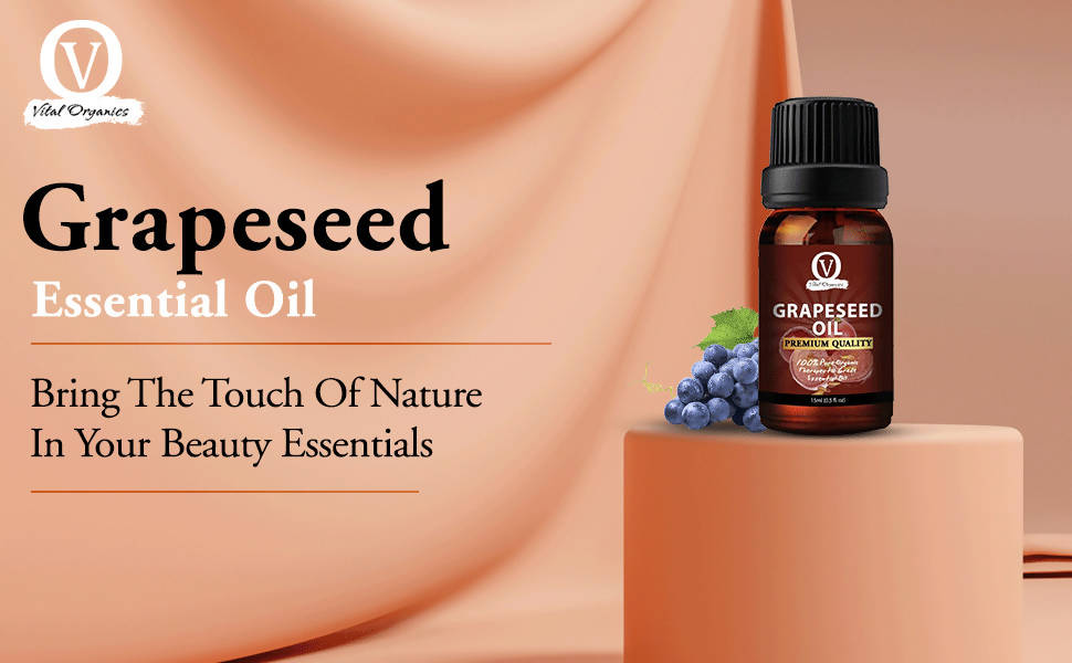 https://cdn.shopify.com/s/files/1/1857/6931/products/kQR00KuTDj.jpg?v=1643017022
