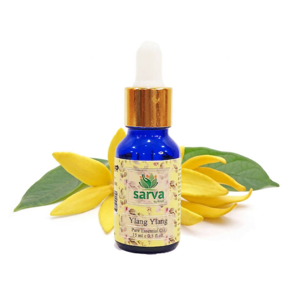 https://cdn.shopify.com/s/files/1/1857/6931/products/kS2DBNBVCZ.jpg?v=1670653496