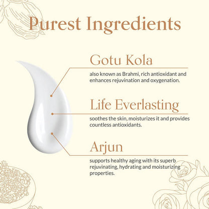 https://cdn.shopify.com/s/files/1/1857/6931/products/kSPC7Y54pX.jpg?v=1639034774