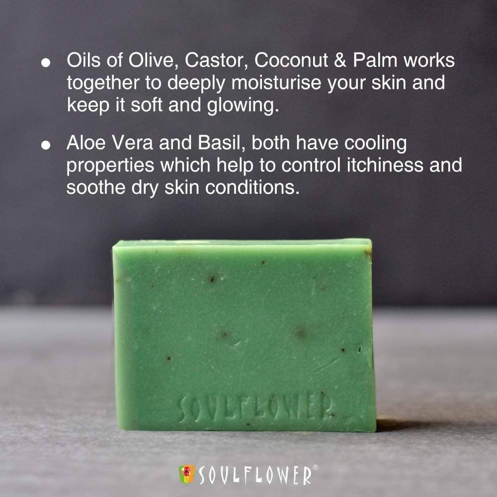 https://cdn.shopify.com/s/files/1/1857/6931/products/kSrQBnhTyX.jpg?v=1614911335