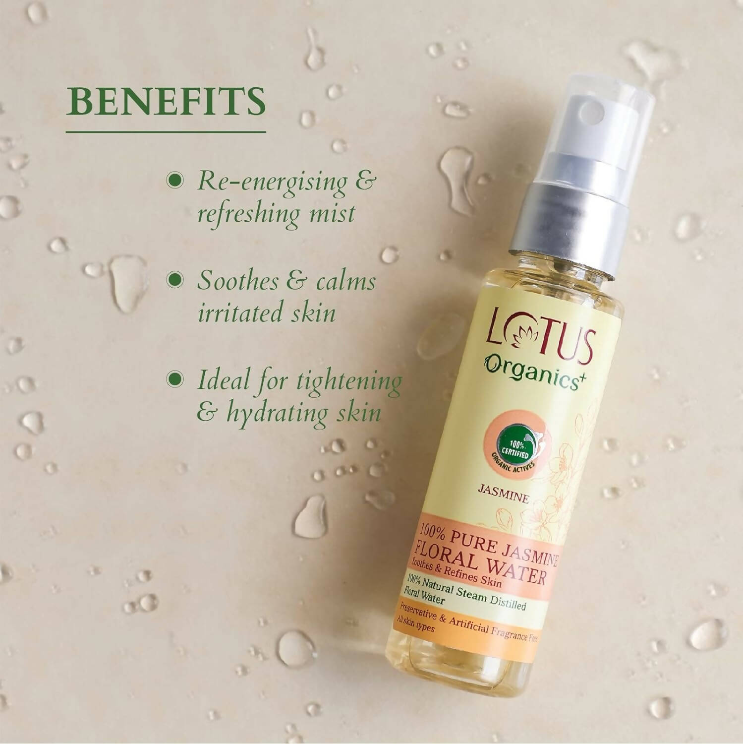 https://cdn.shopify.com/s/files/1/1857/6931/products/kZNBNdJR8E.jpg?v=1697116789
