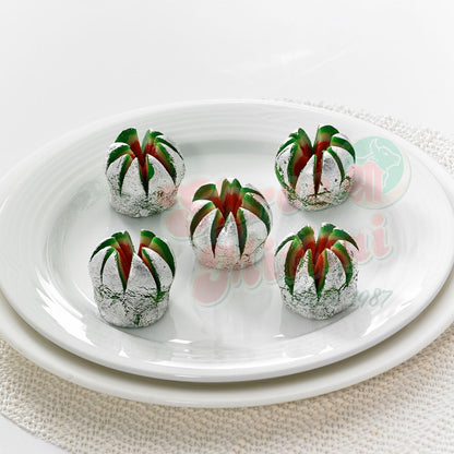https://cdn.shopify.com/s/files/1/1857/6931/files/kaju-flower-116893.jpg?v=1762169254