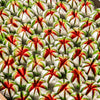 https://cdn.shopify.com/s/files/1/1857/6931/files/kaju-flower-377296.jpg?v=1762169254