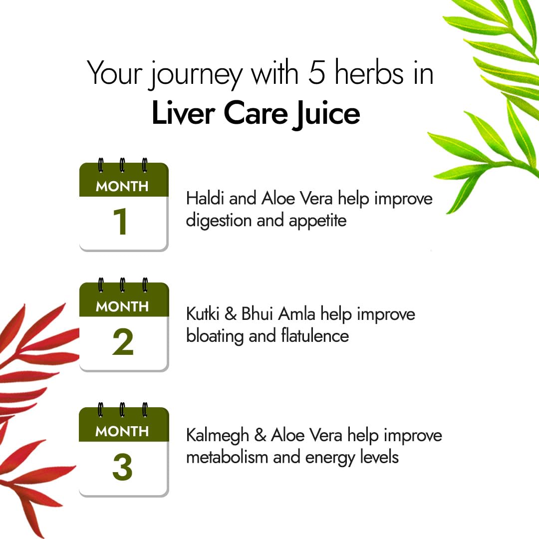 https://cdn.shopify.com/s/files/1/1857/6931/files/kapiva_liver_5.jpg?v=1763467808