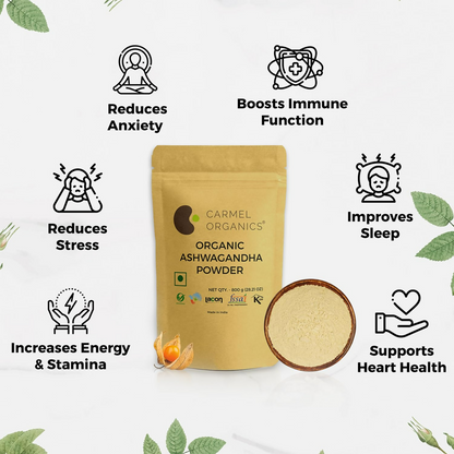 https://cdn.shopify.com/s/files/1/1857/6931/files/kbEx2IebMy.png?v=1751605430