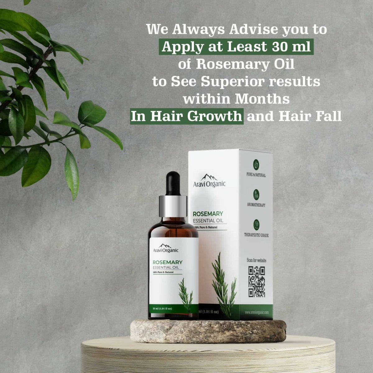 https://cdn.shopify.com/s/files/1/1857/6931/files/kbbw6Q9sg5-116945.jpg?v=1736149210