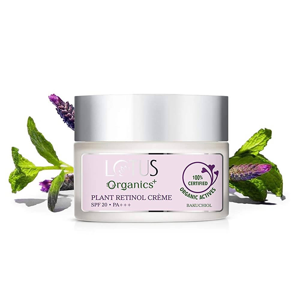 https://cdn.shopify.com/s/files/1/1857/6931/products/kcLuPZCtJy.jpg?v=1648461330