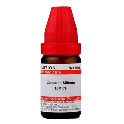 https://cdn.shopify.com/s/files/1/1857/6931/products/kckvbxTpxN.jpg?v=1641359290