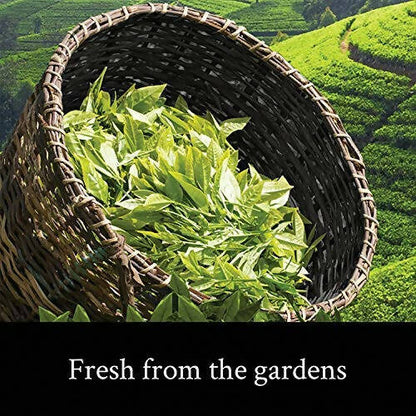 https://cdn.shopify.com/s/files/1/1857/6931/products/kcr9pFPVdD.jpg?v=1700827809