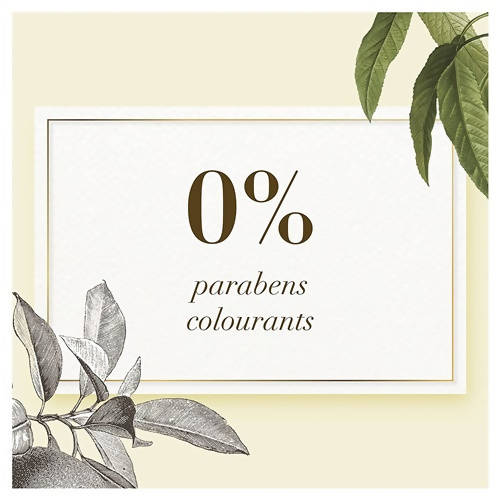 https://cdn.shopify.com/s/files/1/1857/6931/products/khfK0lzj69.jpg?v=1625557153