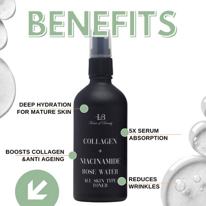 https://cdn.shopify.com/s/files/1/1857/6931/files/klnAXOr88R.png?v=1729253394