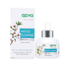 https://cdn.shopify.com/s/files/1/1857/6931/products/kpbDiQ4kSr.jpg?v=1646993341