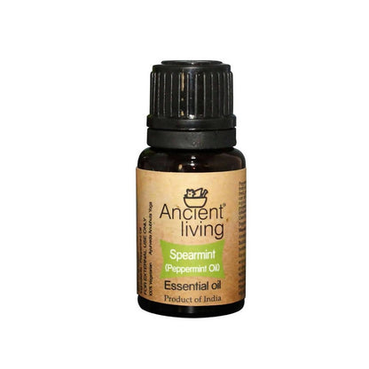 https://cdn.shopify.com/s/files/1/1857/6931/files/ktJzXgsDz1-542434.jpg?v=1736147459