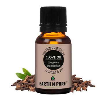 https://cdn.shopify.com/s/files/1/1857/6931/files/ktmTPSi5uY.png?v=1722943928